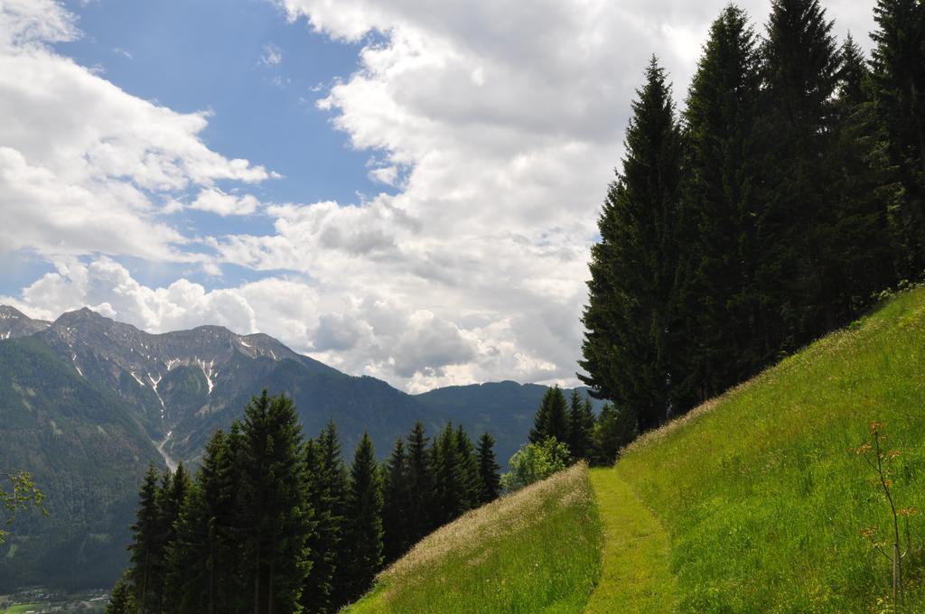 Appartement Almen-Kraeuter-Oberreiter à Dellach im Drautal Extérieur photo