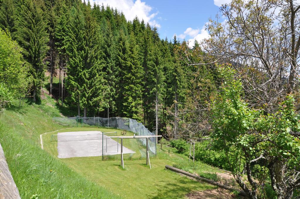 Appartement Almen-Kraeuter-Oberreiter à Dellach im Drautal Extérieur photo